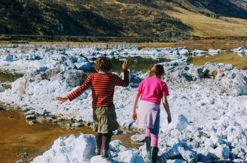 Field trip to Mono Lake, California